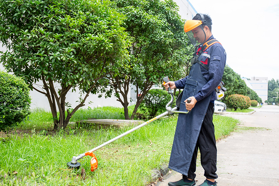 Satu Alat, Tugas Tanpa Berakhir: Mengapa Pemangkas Multi-Tujuan adalah satu-satunya alat halaman yang anda perlukan