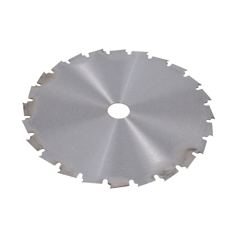 Cakera tip 24t
